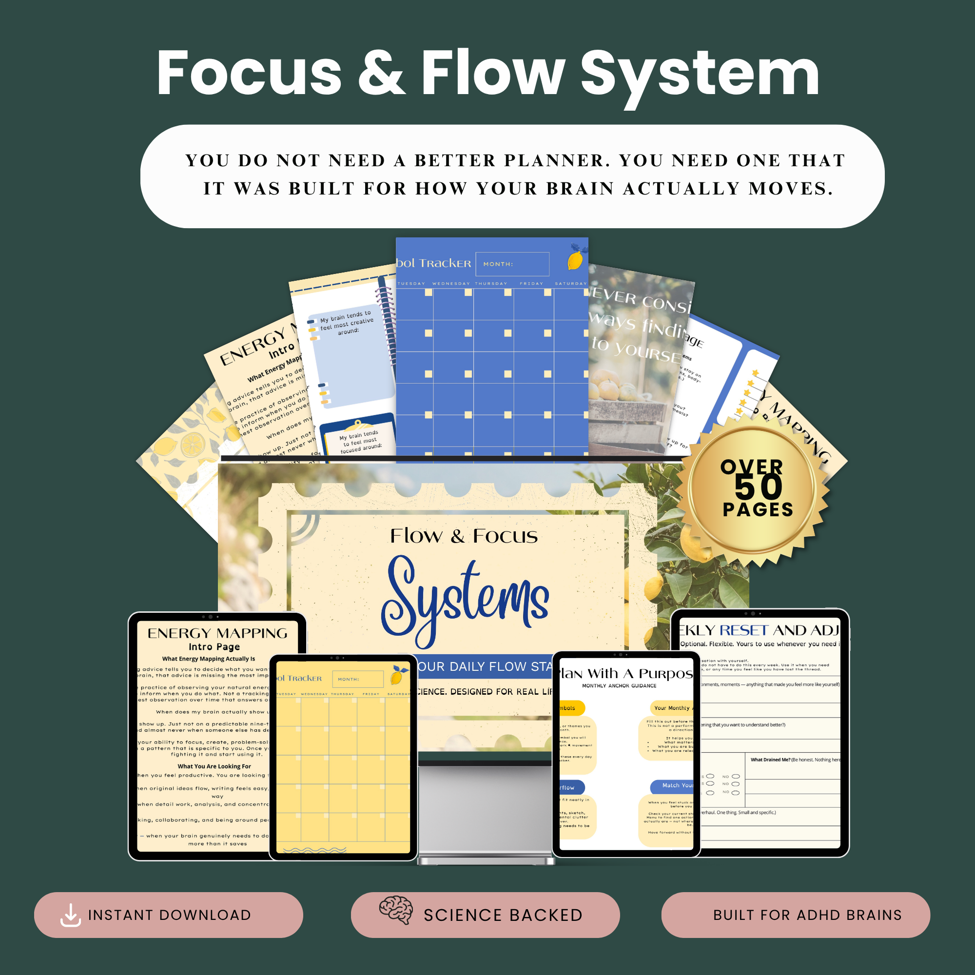 Flow & Focus System mockup